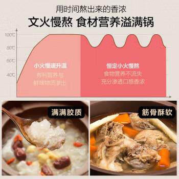 紫电炖锅家用全自动煲汤炖汤砂锅粥专饪用锅陶瓷大容煮量烹机