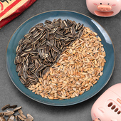 全自动剥瓜子神器家用嗑瓜子神器剥壳器电动扒壳开壳器小孩吃瓜子