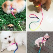 狗狗牵引绳狗链子幼犬遛狗绳子胸带小型犬比熊泰迪狗彩虹宠物用品