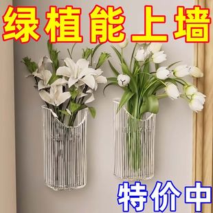 饰挂件绿植花瓶 创意客厅墙壁装 水培植物壁挂花盆 透明绿萝置物架