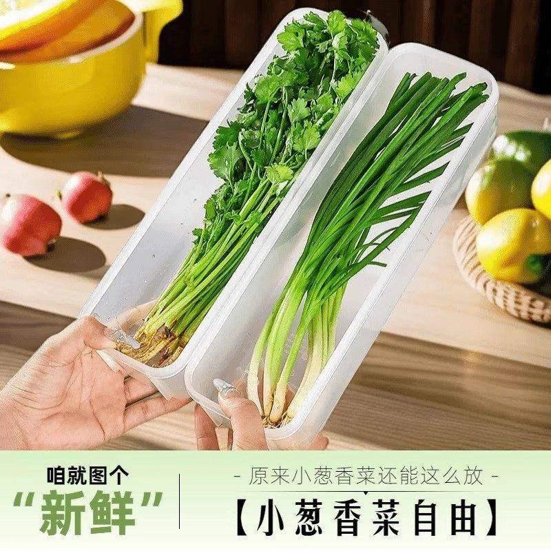 【清仓】香菜小葱长条保鲜盒冰箱透明盖长方形保鲜收纳盒整理厨房,收纳整理,其他收纳盒,淘宝优惠券,粉丝福利购,淘宝优惠卷