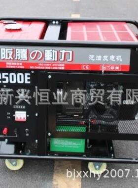 BT12500E阪腾汽油发电机10KW双缸动力阪腾汽油发电机阪腾发电机