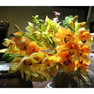 高样板房简约时尚手感白黄桔玫红色单枝东亚兰大花蕙兰花艺