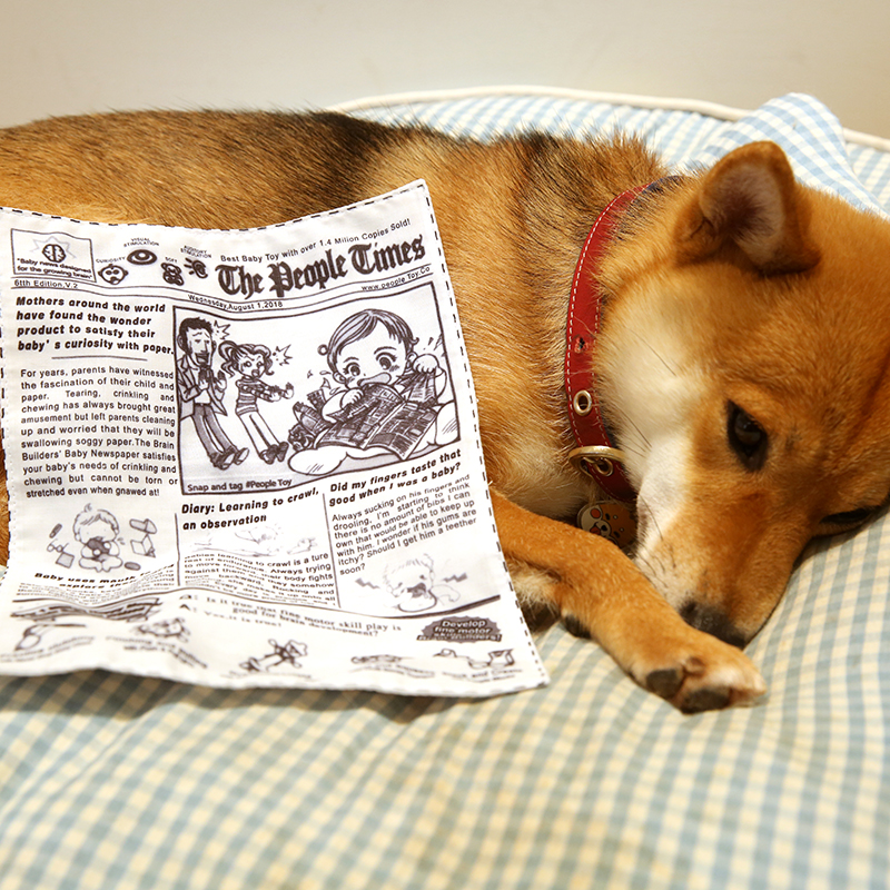 宠物狗狗发声玩具响纸报纸解闷神器耐咬磨牙柯基柴犬泰迪幼犬互动