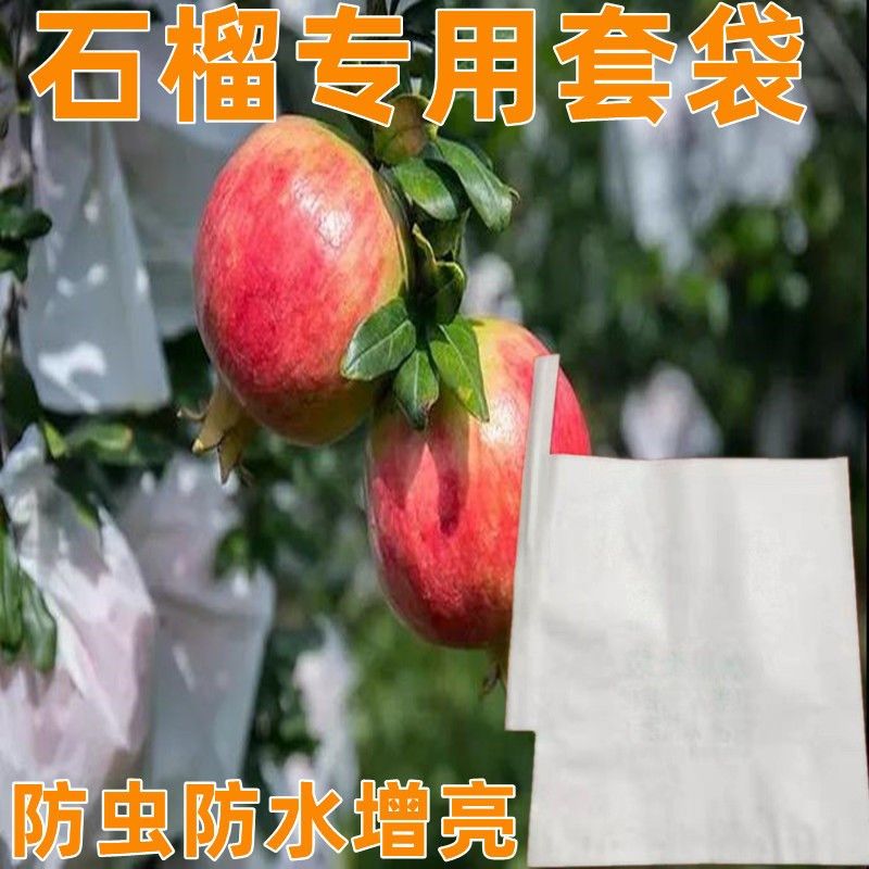 石榴袋专用套袋露天防晒防虫番石榴套袋柑橘脐橙套袋水果通用果,农机/农具/农膜,水果套袋/果袋,淘宝优惠券,粉丝福利购,淘宝优惠卷