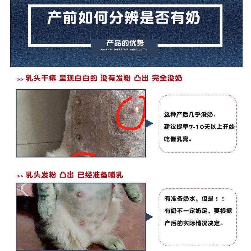 母猫产后下奶营养品狗狗猫妈妈宠物孕期催乳膏猫咪怀孕哺乳期催奶