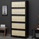 架子多层带门鞋 鞋 入户柜一体门口玄关柜门外走廊用鞋 立式 架 柜高款