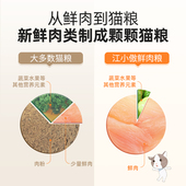 江小傲鲜肉配方猫粮冻干肉无谷全猫粮增肥营养发腮幼猫粮一斤试吃