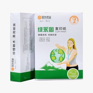 安兴纸业蓝汇东a4纸复印纸 A4打印复印纸白纸80克办公用纸5包整箱