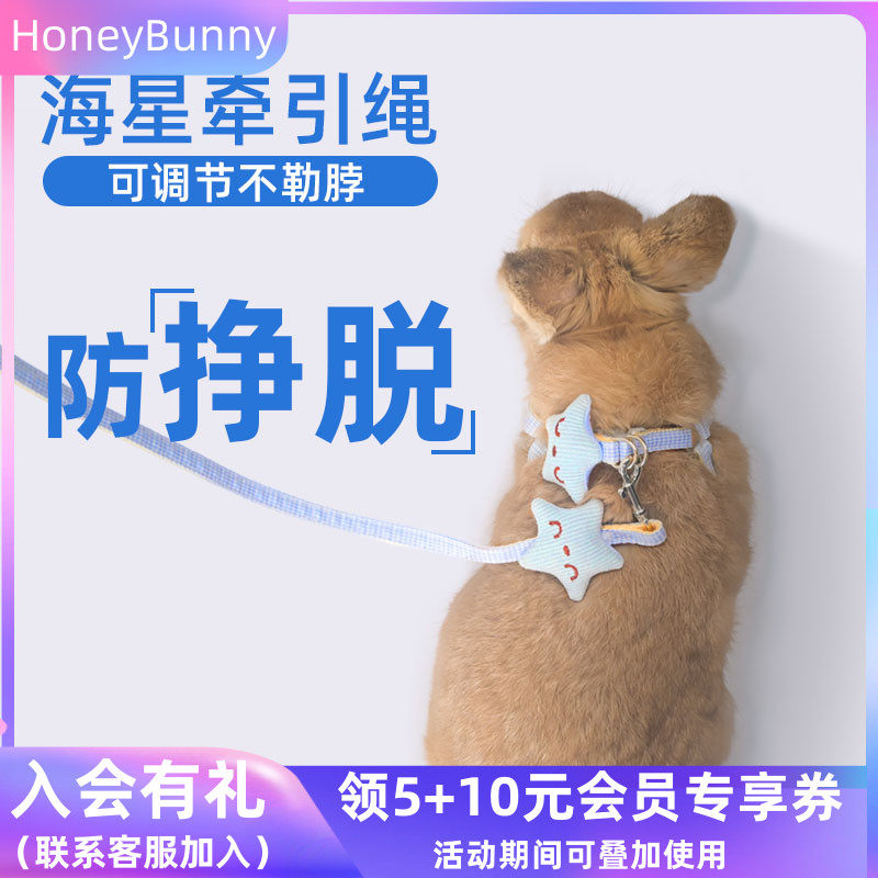 兔子牵引绳防挣脱可伸缩溜兔子神器可调节侏儒兔绳外出专用防咬,宠物/宠物食品及用品,兔绳,淘宝优惠券,粉丝福利购,淘宝优惠卷