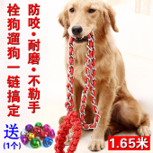狗链子牵引绳栓狗遛狗防咬耐磨不勒手金毛拉布拉多哈士奇宠物用品