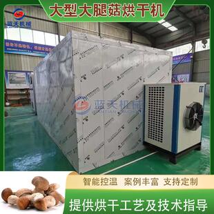 大腿蘑烘干机 大型牛肝菌松茸片脱水烘干房 香菇蘑菇食用菌电烤房