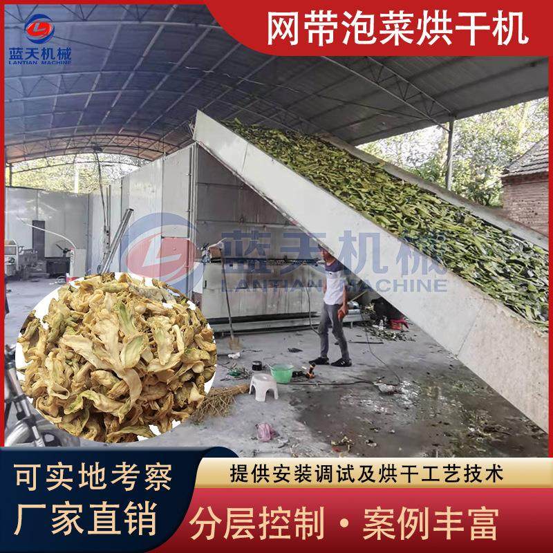 网带泡菜烘干机 连续式辣白菜萝卜甜菜春莴苣腌菜脱水干燥机设备,机械设备,干燥机/干燥箱/烘干机,淘宝优惠券,粉丝福利购,淘宝优惠卷
