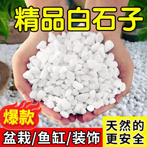 天然白石子水培绿植装饰鱼缸造景花园庭院铺地小石头纯白色鹅卵石