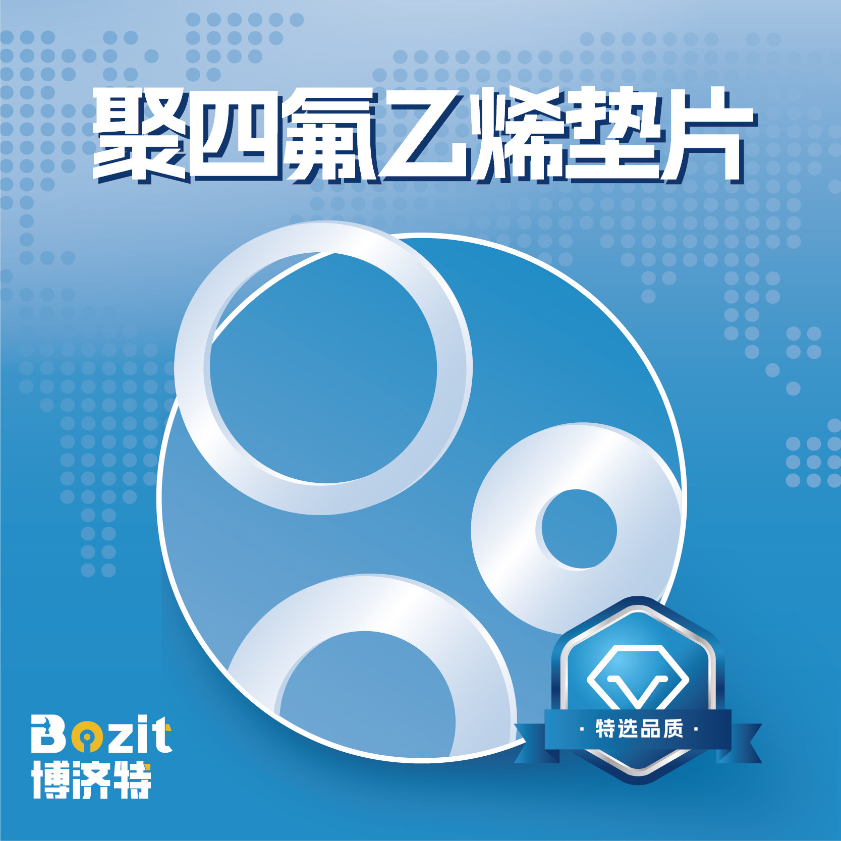 聚四氟乙烯垫片法兰式密封垫圈