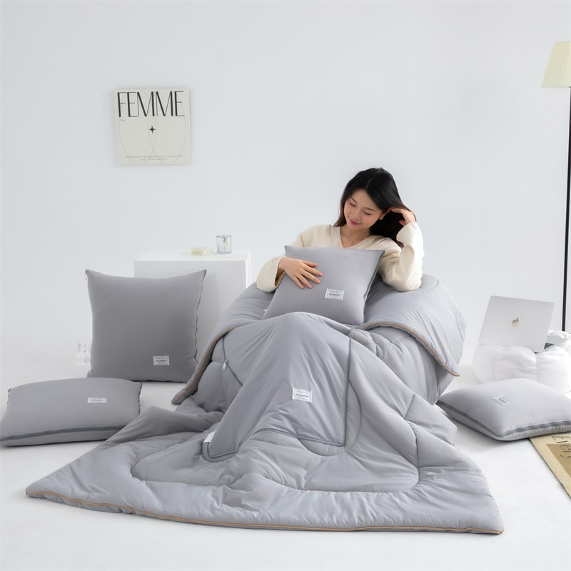 A类/凉感丝 抱枕车用被子两用毯子二合一2025新款午睡车载枕头被