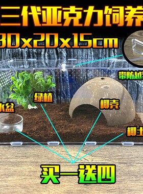 宠物饲养盒亚克力爬虫箱蜘蛛蜥蜴守宫角蛙蛇蟒甲虫302015爬宠盒