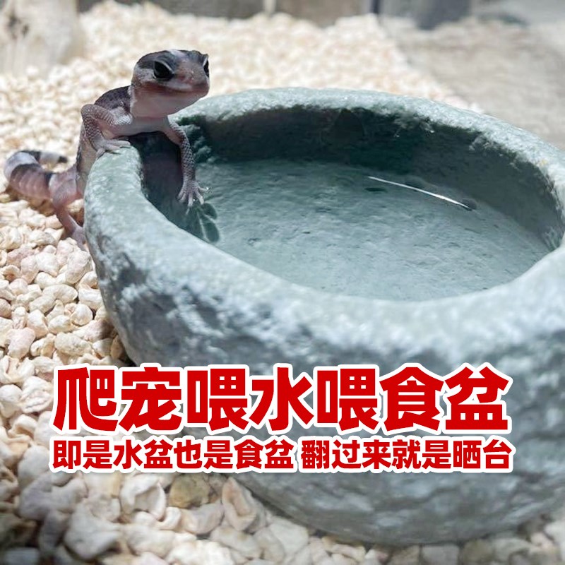 爬宠石臼鸟蛋水盆净化水质造景自然食盆宠物蛇守宫鬃狮蜥蜴鸟类用