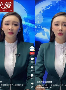 秋微雪纺衫新款白色衬衣休闲修身打底衫春秋女装立领花边无袖衬衫