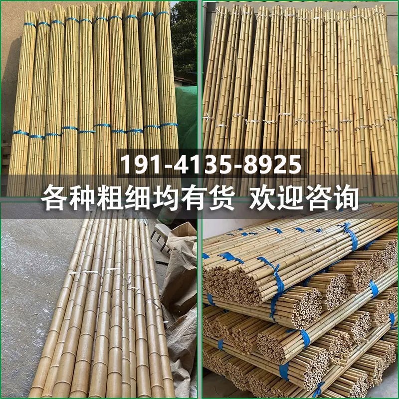 竹篱笆栅栏户外花园围栏防腐竹竿室内隔断竹子装修吊顶旗杆青竹杆