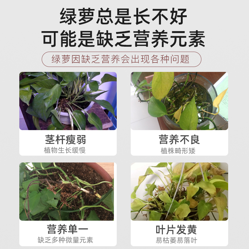 绿萝专用缓释肥复合肥家用型控释颗粒植物盆栽绿植花卉养花肥料