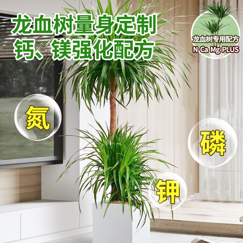 龙血树营养液免稀释叶子干枯龙铁树龙血树专用肥料液体肥专用土