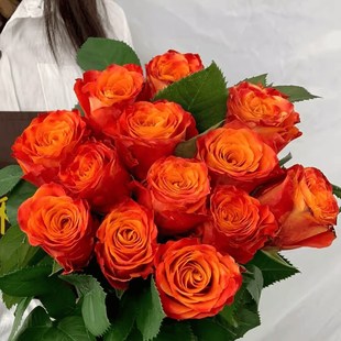 切花火焰月季花苗开花玫瑰小苗四季盆栽花卉爬藤植物蔷薇树苗绿植