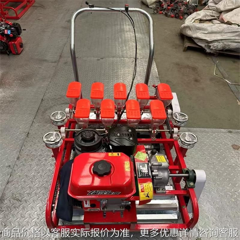 传统式汽油蔬菜播种机 香菜洋葱菠菜精播机 多行种菜育苗点播机