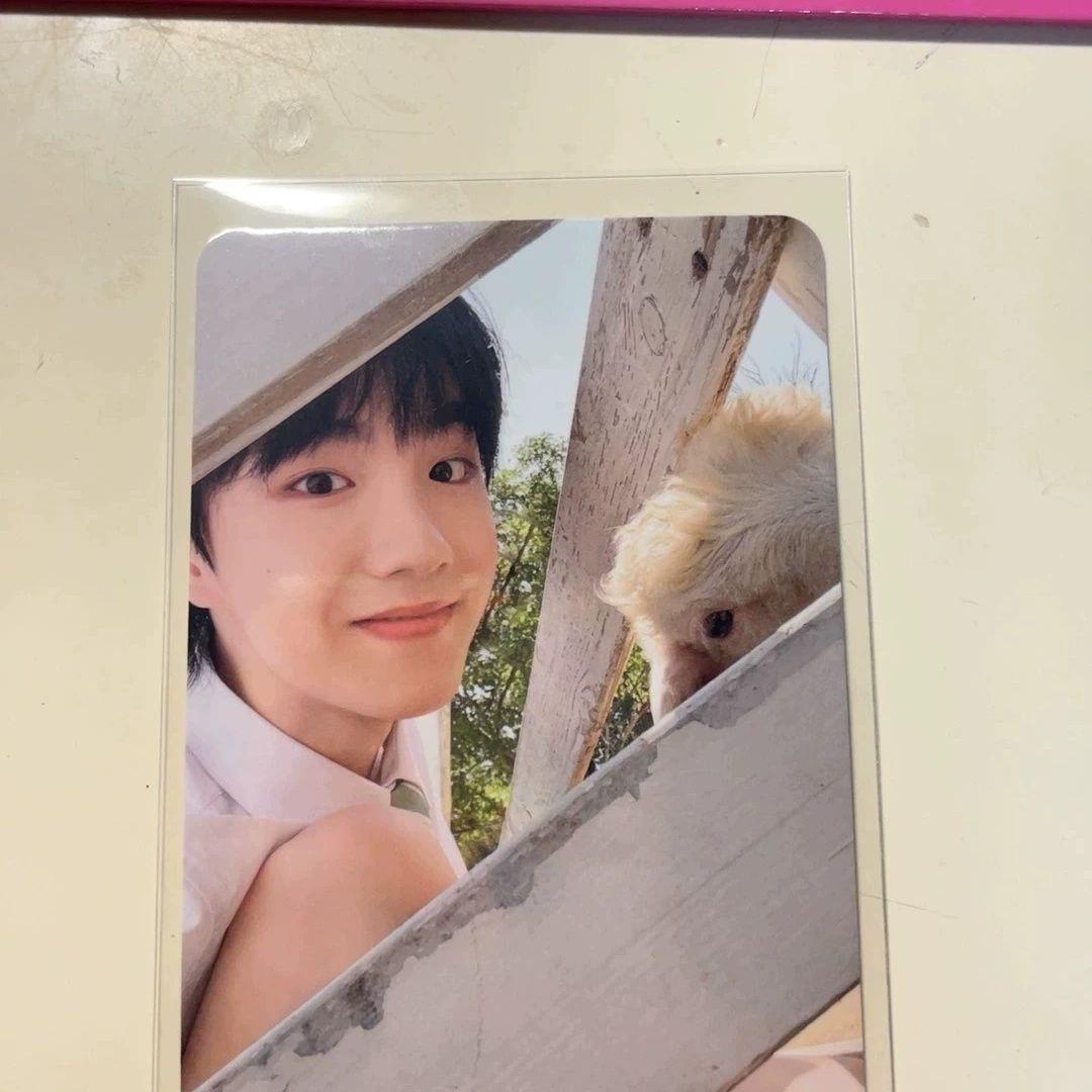 TF家族登陆三代小卡苏新皓登陆日小羊卡正卡已绑不换绑