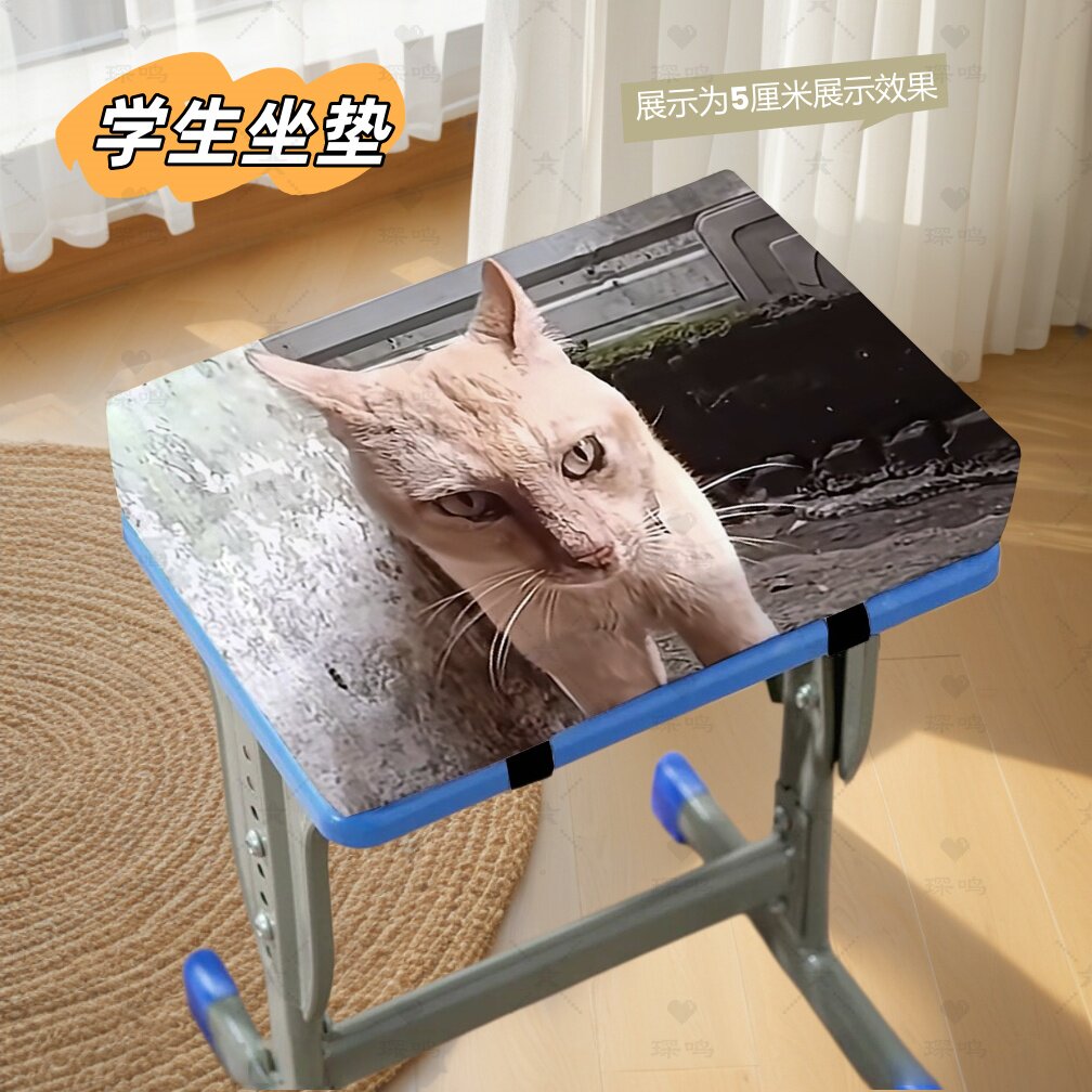 抽象丑橘久坐学生坐垫教室凳子垫子椅垫座垫定制椅子记忆棉屁垫