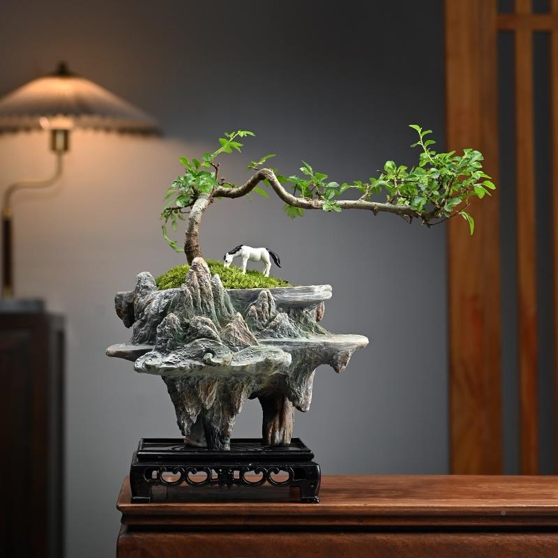 厂促小叶榆树盆景悬崖桩办公室绿式植桌好面养盆栽植物室内摆件禅