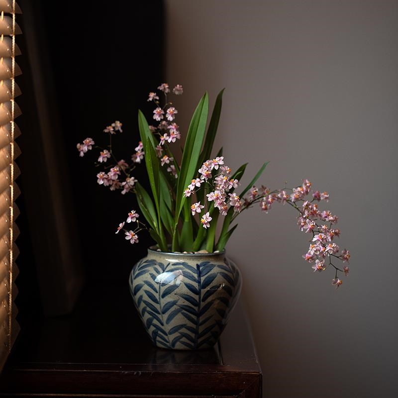 静艺花舍 文心兰梦香兰盆栽办公室内桌面好养绿植有花香花卉植物