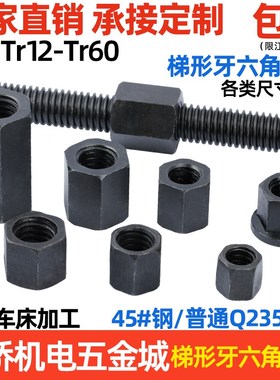 梯形牙丝杆六角螺母 粗牙扣螺杆法兰螺帽Tr162024*43040*6-60*8等