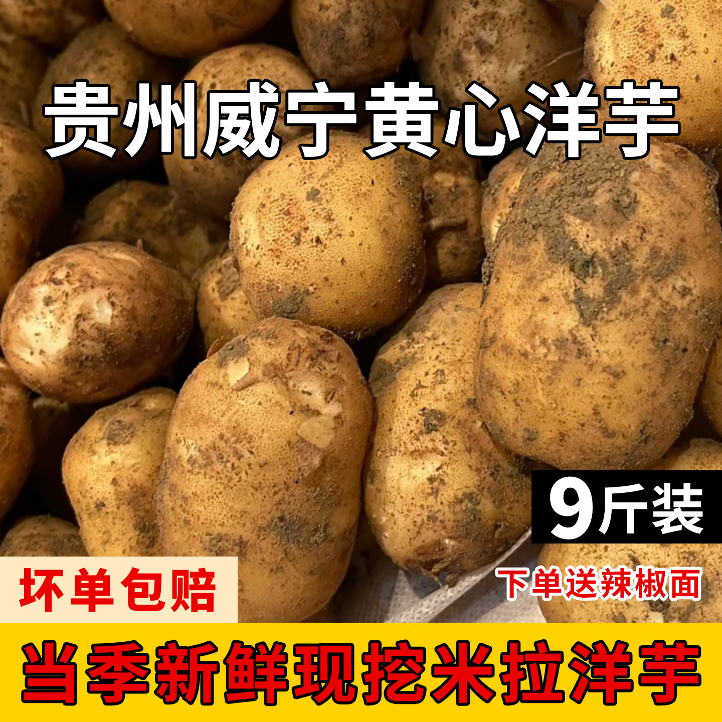 贵州威宁米拉黄心洋芋老品种黄皮土豆高山土特产新鲜马铃薯九斤装