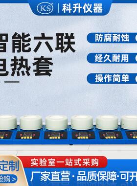 ZNCL-DLS智能多联数显磁力搅拌电热套六联100ml250ml500ml1000ml