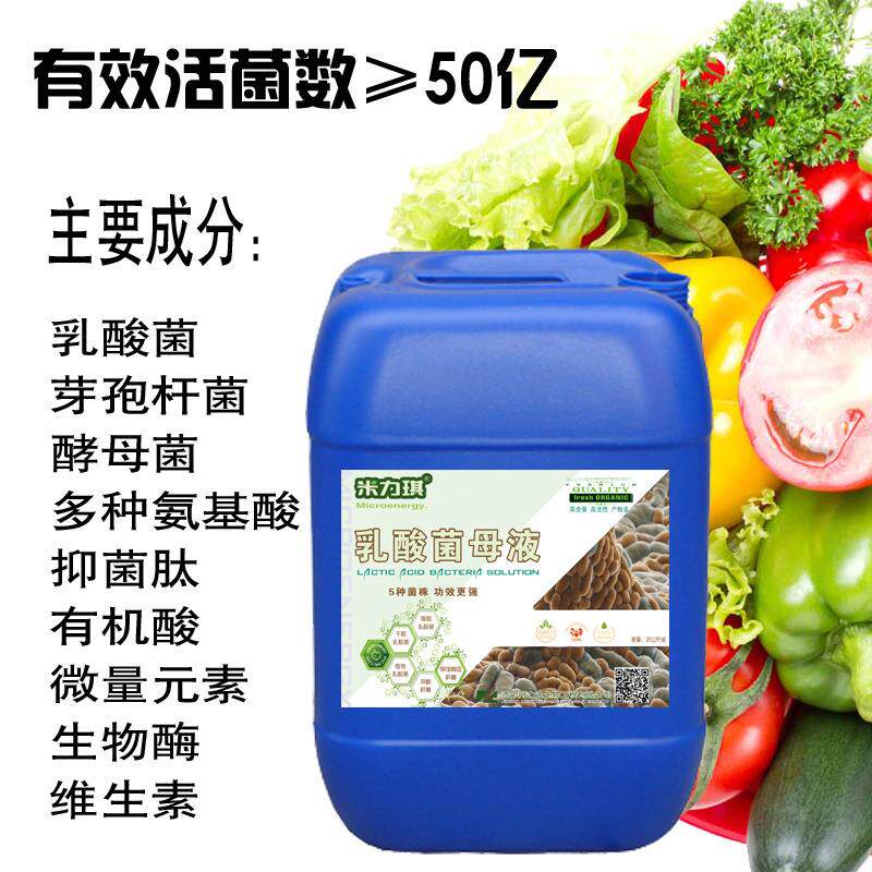 米力琪 农用乳酸菌原液  50亿菌 含乳酸菌酵母菌 氨基酸微量元素