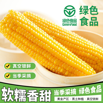 东北糯玉米甜糯黄玉米棒新鲜香甜玉米低脂大棒真空代餐整支非即食