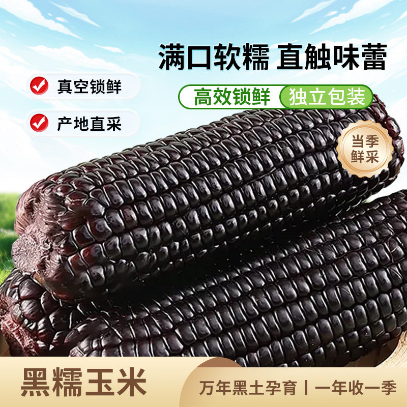 东北黑糯玉米低脂早餐300g*8棒
