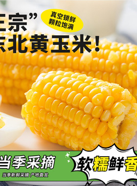东北甜糯玉米黄糯玉米棒香甜玉米新鲜低脂大棒真空代餐整支非即食