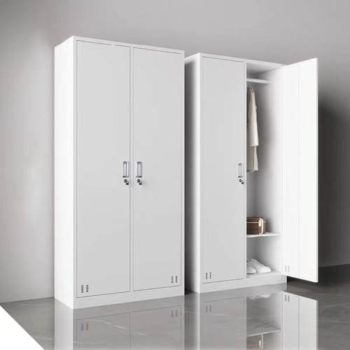 双门衣柜柜更衣柜子二门衣柜铁员工单位宿舍衣柜带锁储物柜2门柜