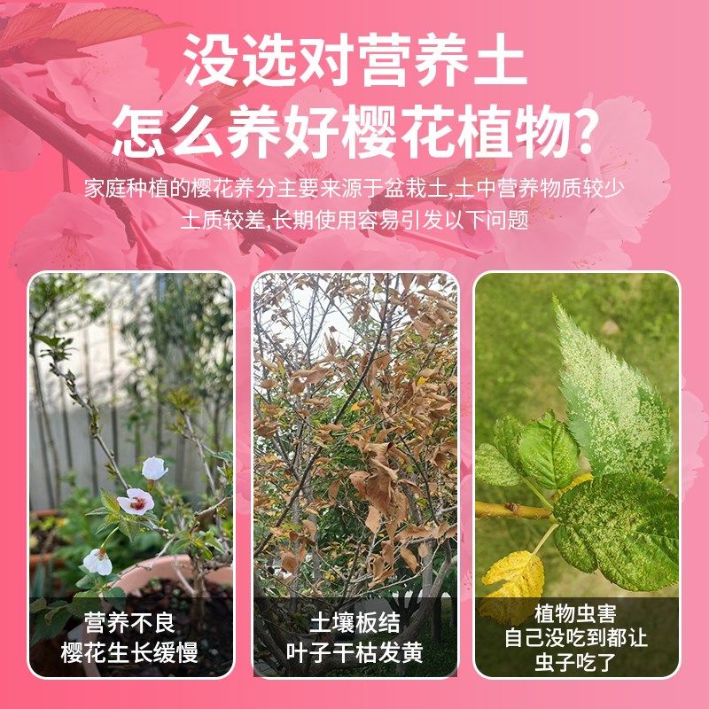 樱花专用土蔷薇科营养专用肥花盆土栽培通用基质家用种植土有机肥,鲜花速递/花卉仿真/绿植园艺,介质/营养土,淘宝优惠券,粉丝福利购,淘宝优惠卷