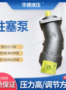 斜轴式柱塞马达A2F10 55.80.160W2P1定量液压油泵柱塞泵