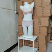新品 灯模灯箱美体塑身衣塑形内衣模特道具女发光半身展示架模特架