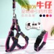 狗狗牵引绳泰迪狗链定制狗牌小型犬宠物用品遛狗绳中型犬狗链