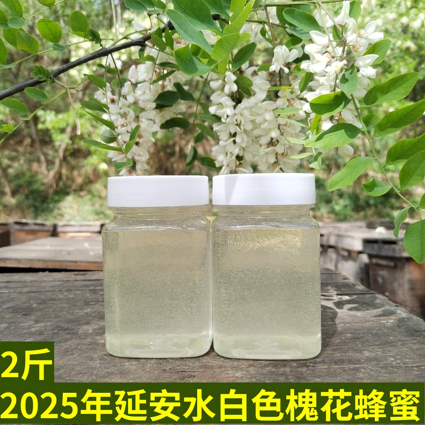 槐花蜂蜜延安2025年洋槐蜜