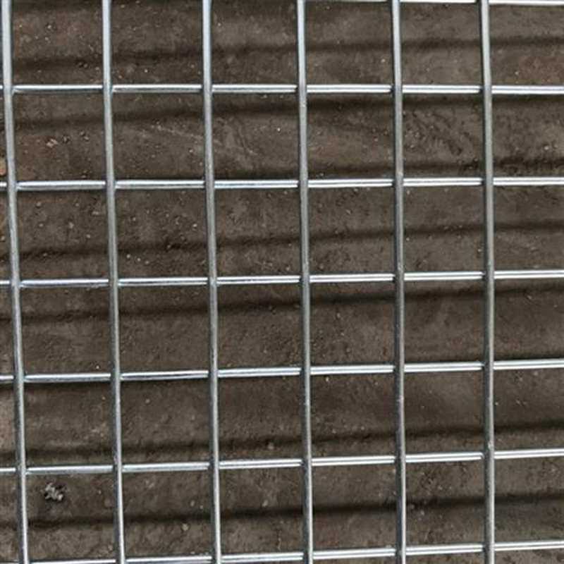 今年流行镀锌铁丝网钢丝电铁网养殖网防护围栏网艺铁格货架焊网片,电动车/配件/交通工具,电动车靠垫,淘宝优惠券,粉丝福利购,淘宝优惠卷