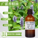 纯单方广藿香精油 100ml深层清洁身体按摩提拉紧致广霍香清香刮痧