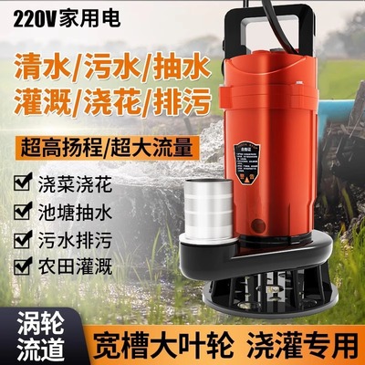 潜水泵家用220V抽水泵小型清污水泵农用灌溉排污高扬程抽水机井水