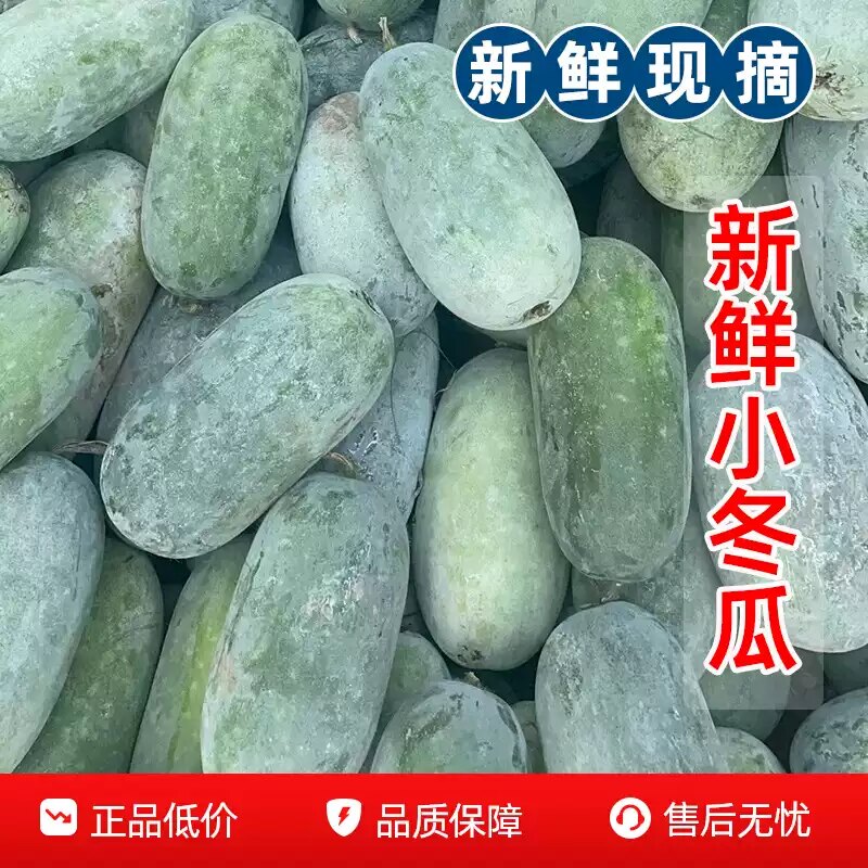 开封新鲜小冬瓜整箱包邮