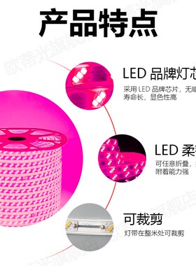 220V三排粉红光LED灯带条防水粉色180灯玫红色粉紫色LED灯条防雨